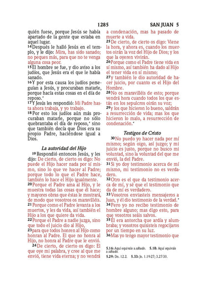 Santa Biblia Azul - Reina Valera 1960 Letra Grande 10 Puntos